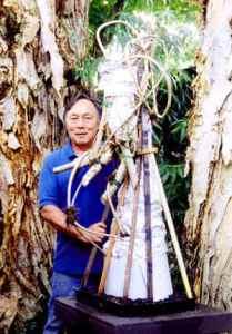 Bonsai, cay canh nghe thuat, cây cảnh nghệ thuật, cay the, cây thế, triển lãm bonsai, trien lam bonsai, triển lãm cây thế, trien lam cay the